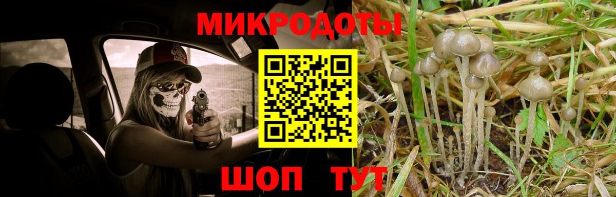 Псилоцибиновые грибы ЛСД  магазин продажи наркотиков  Кызыл  Вход с VPN 